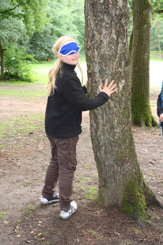 Ein Mädchen ertastet mit verbundenen Augen einen Baum. 
